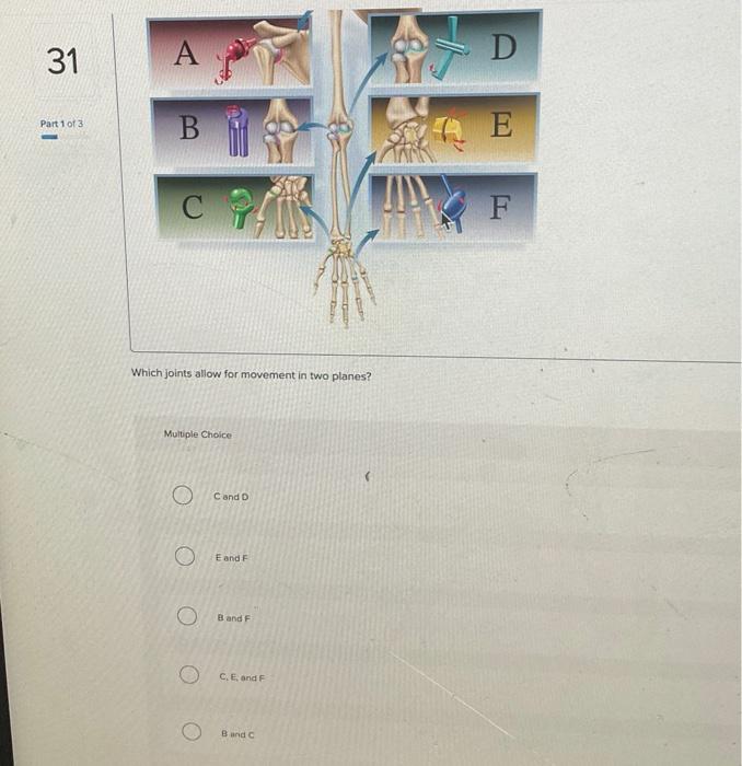 Solved Which joints allow for movement in two planes?