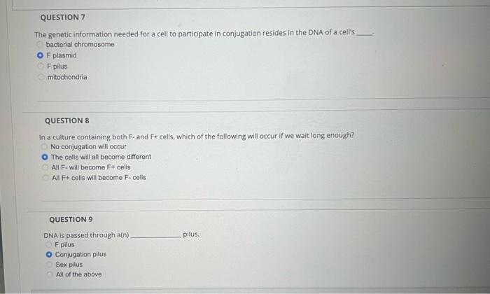 Solved The genetic information needed for a cell to | Chegg.com