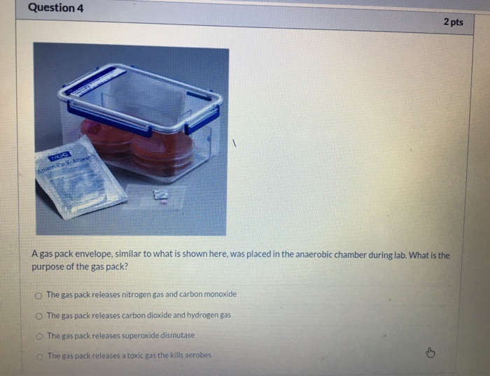 Solved Question 4 2 pts Apa A gas pack envelope, similar to