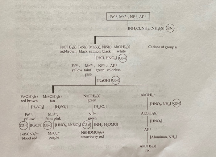 Solved EXPERIMENT REPORT SHEET Abbreviated Qualitative | Chegg.com