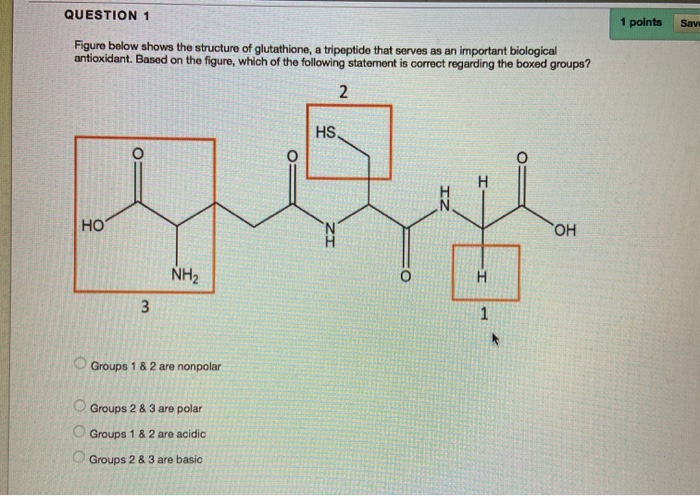 glutathione supplement cymbiotika Cymbiotika Liposomal Glutathione