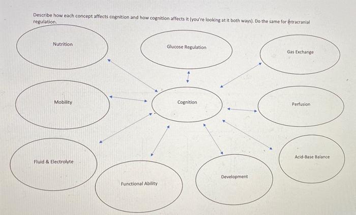 Solved Describe how each concept affects cognition and how Chegg