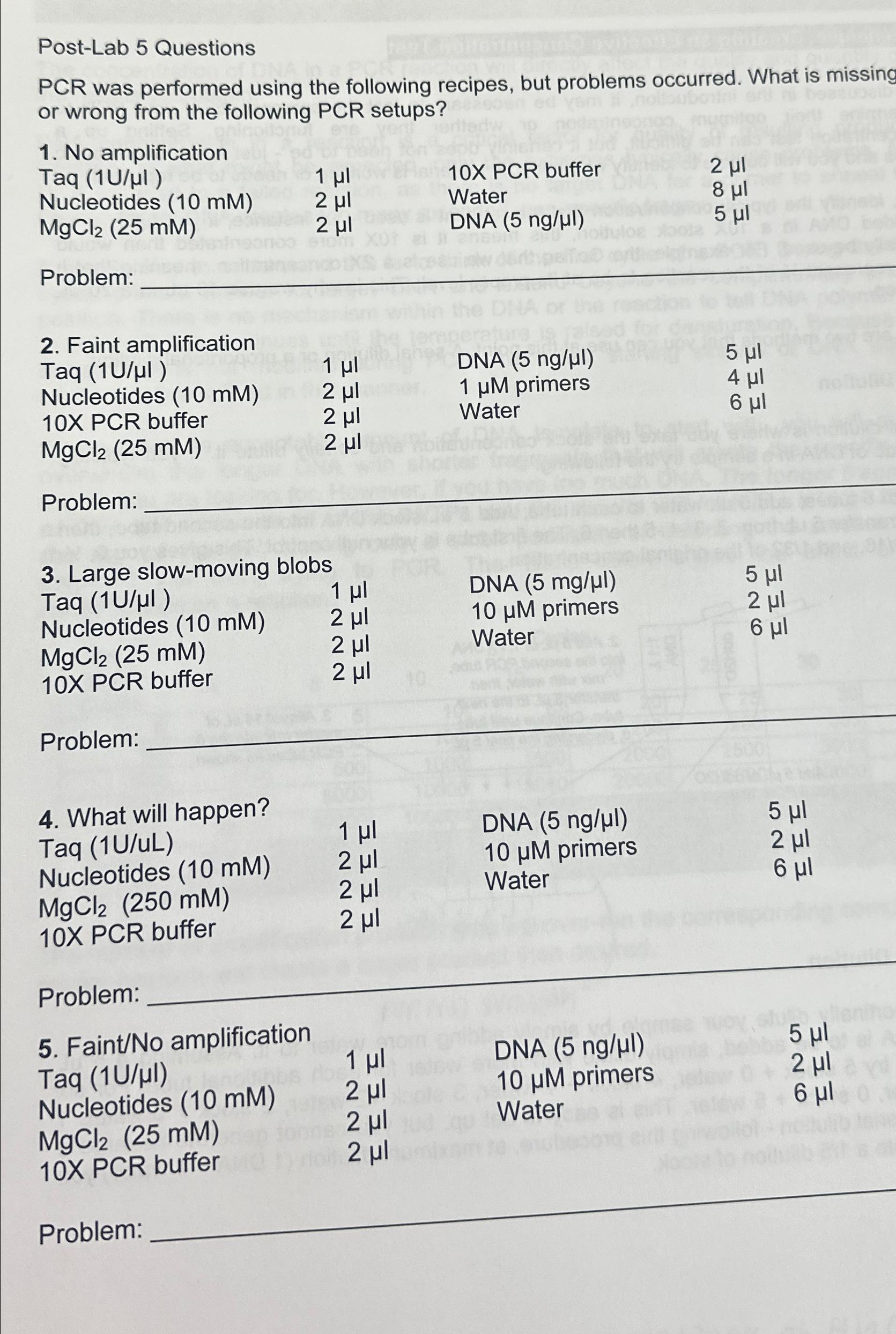 Solved PostLab 5 ﻿QuestionsPCR was performed using the