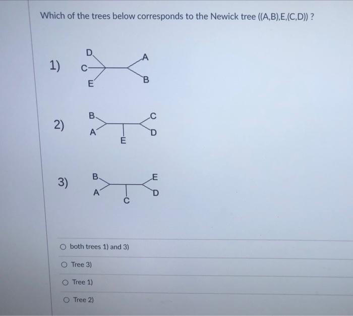 Solved Which of the trees below corresponds to the Newick | Chegg.com