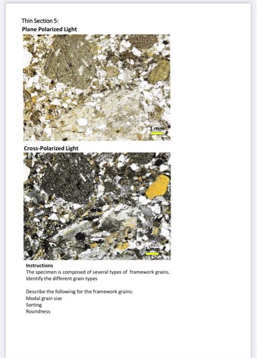 Solved Thin Section 5: Plane Polarized Light 1 mm | Chegg.com