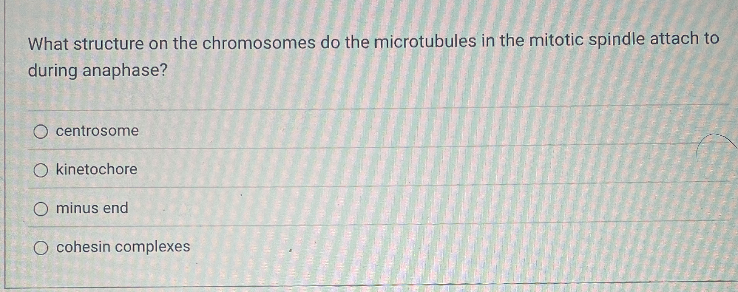 Solved What structure on the chromosomes do the microtubules