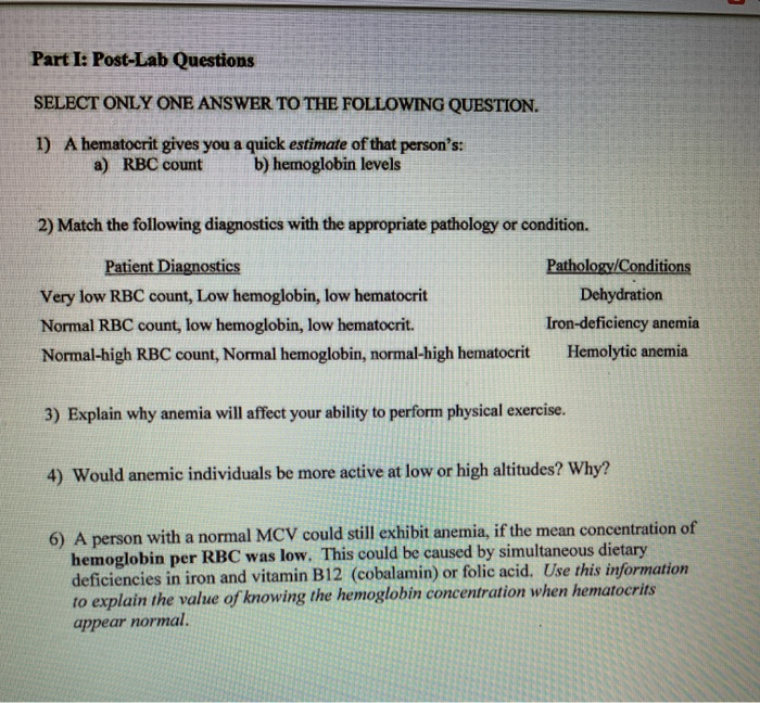 low hematocrit and hemoglobin