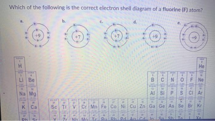 Solved Which of the following is the correct electron shell | Chegg.com