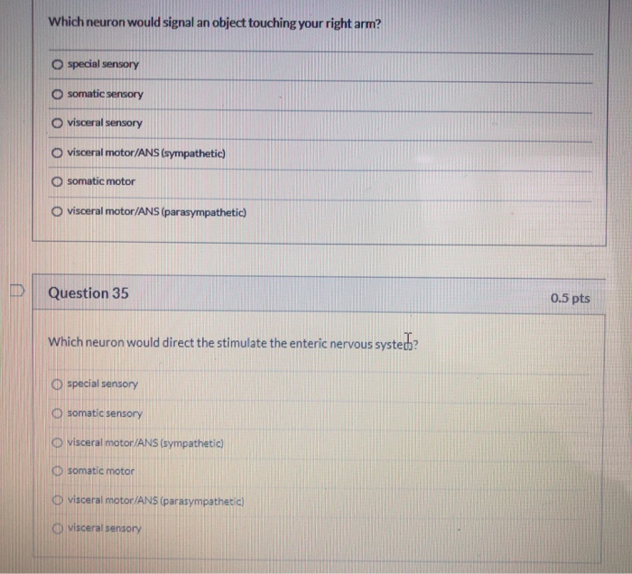 Solved Question 31 0.5 pts The next 6 questions are asking | Chegg.com