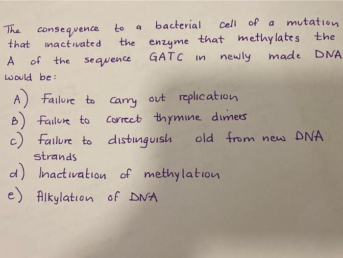 Solved a in The to bacterial cell of a mutation consequence | Chegg.com