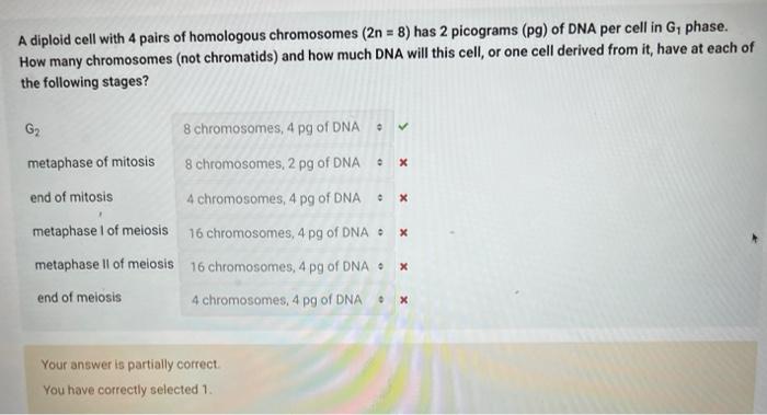 Solved A diploid cell with 4 pairs of homologous chromosomes | Chegg.com
