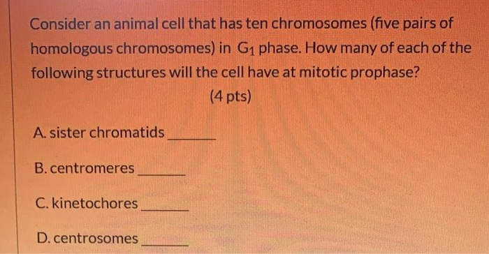 Solved Consider an animal cell that has ten chromosomes 