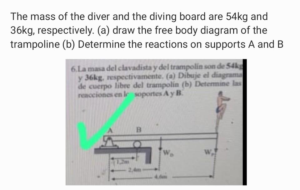 The mass of the diver and the diving board are \( 54 \mathrm{~kg} \) and \( 36 \mathrm{~kg} \), respectively. (a) draw the fr