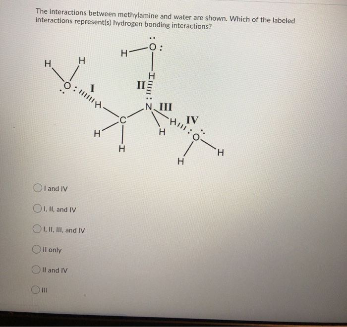 Solved The Interactions Between Methylamine And Water Are Chegg Com