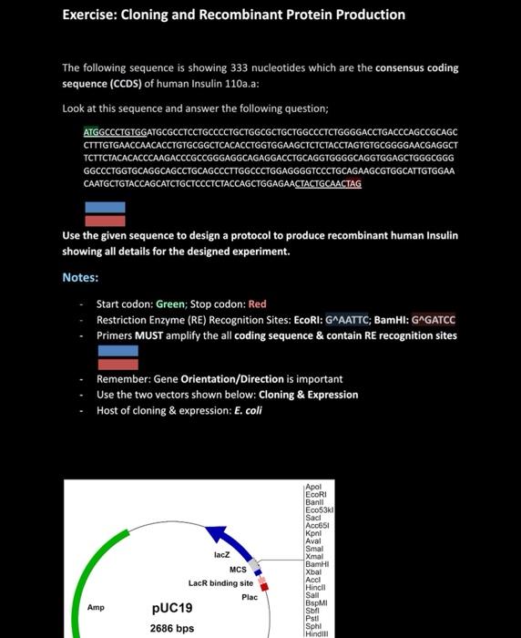 Solved Exercise: Cloning and Recombinant Protein Production | Chegg.com