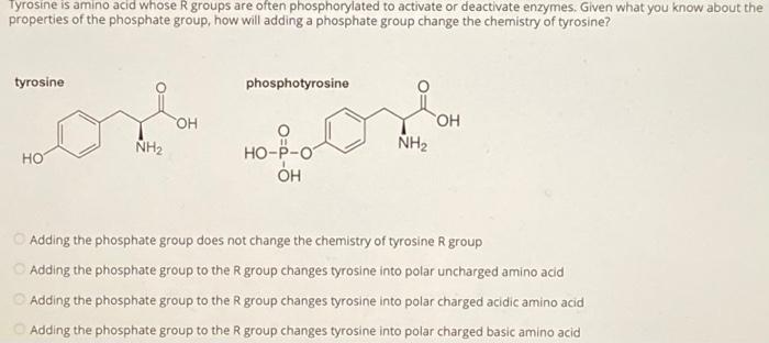 Solved properties of the phosphate group, how will adding a | Chegg.com