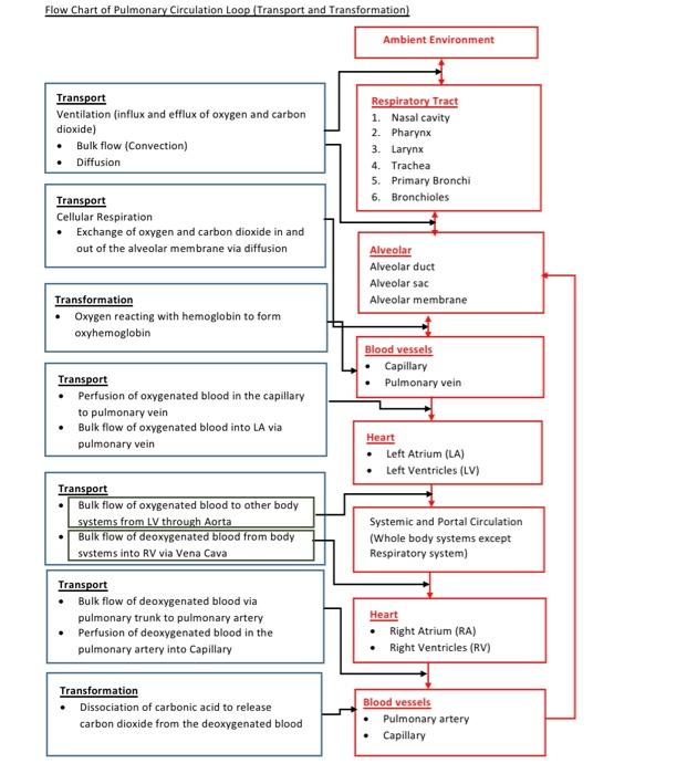 pulmonary circulation flow chart