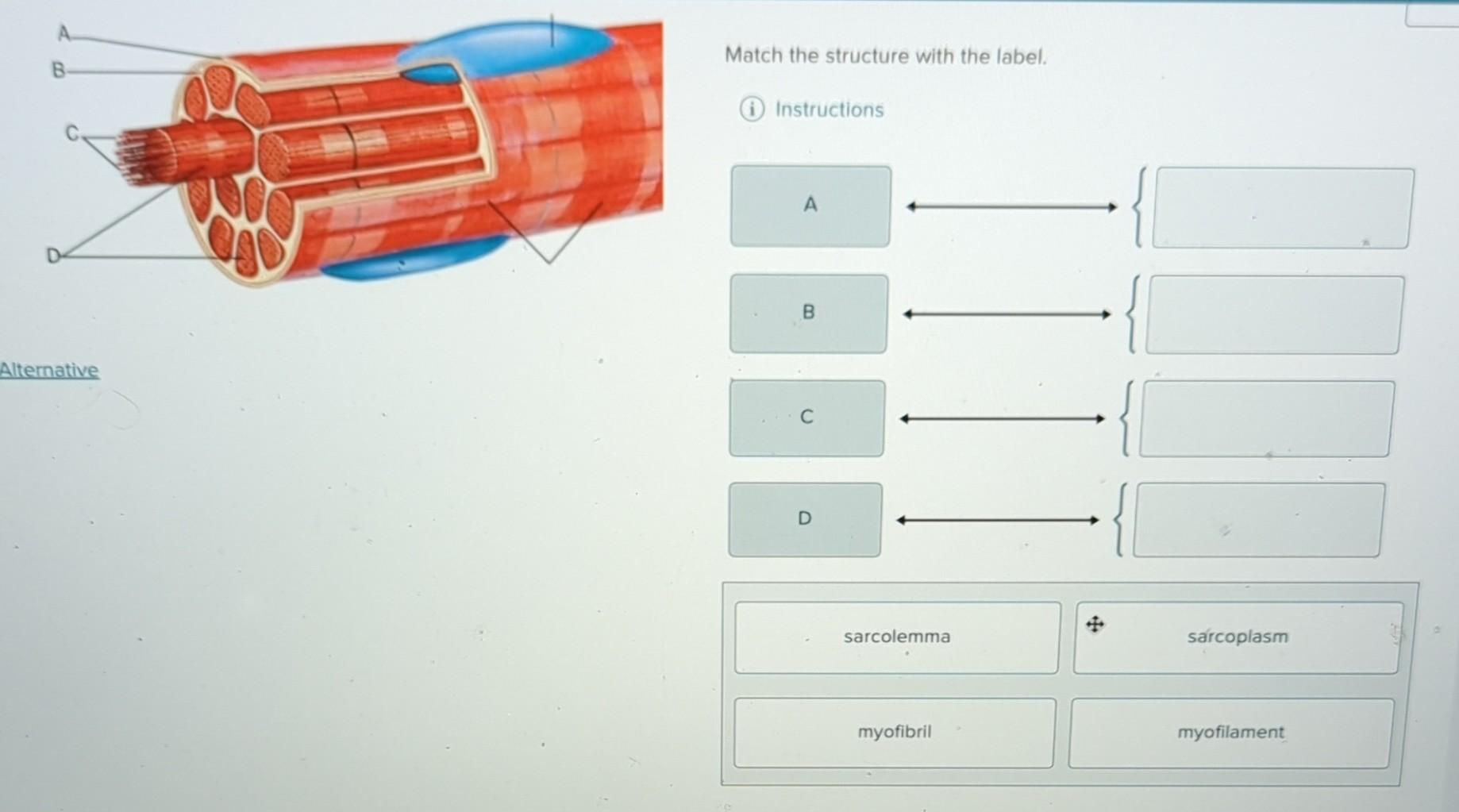 Solved Match The Structure With The Label. | Chegg.com