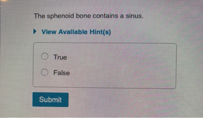 Solved The sphenoid bone contains a sinus. View Avallable | Chegg.com