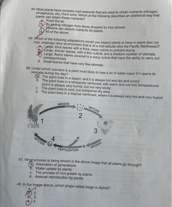 Solved please explain for the questions i got wrong, and why | Chegg.com