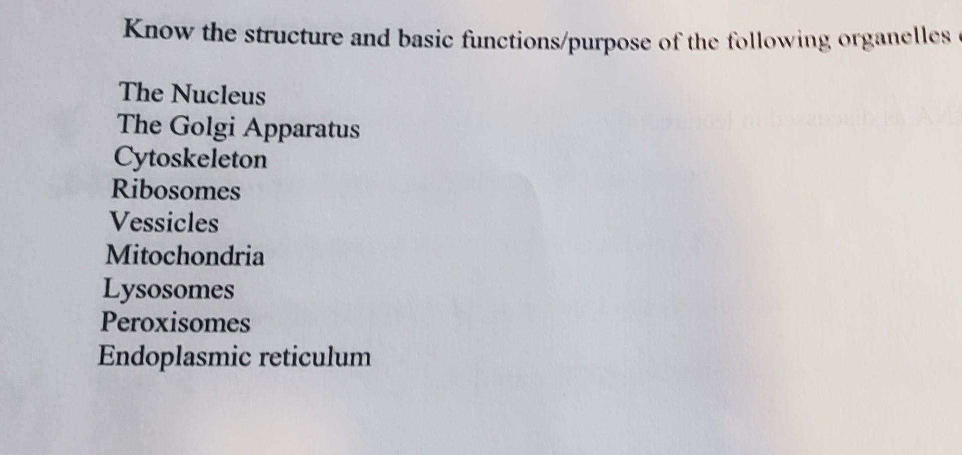 Solved Know the structure and basic functions/purpose of the | Chegg.com