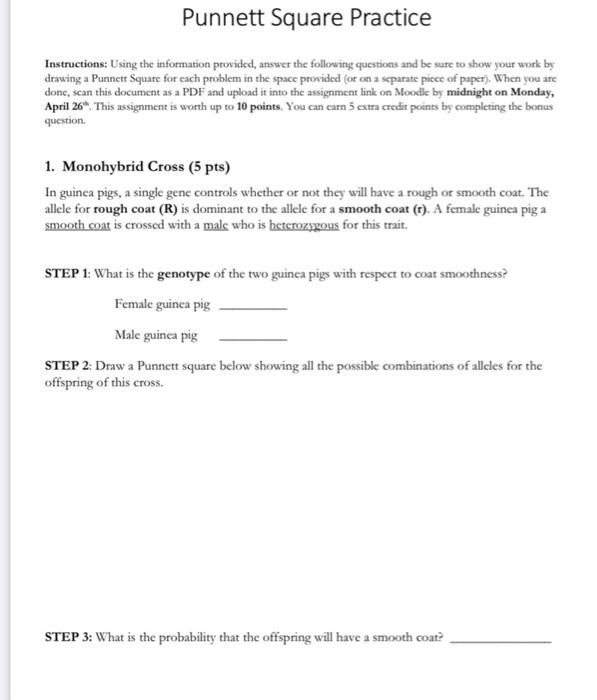 Solved Punnett Square Practice Instructions: Using the | Chegg.com