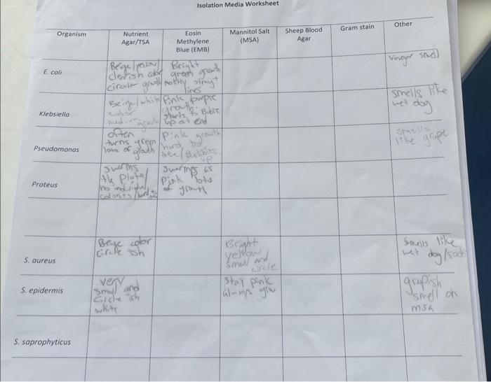 Solved Isolation Media Worksheet | Chegg.com