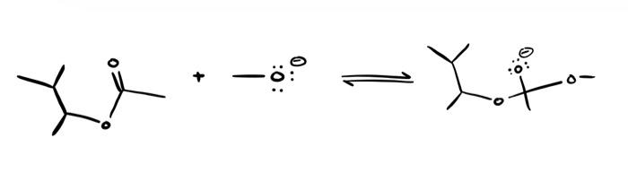 Solved Designate the frontier molecular orbitals important | Chegg.com
