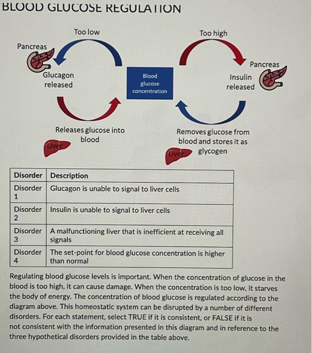 solved-bluuu-glucuse-kegula-iiun-regulating-blood-glucose-chegg