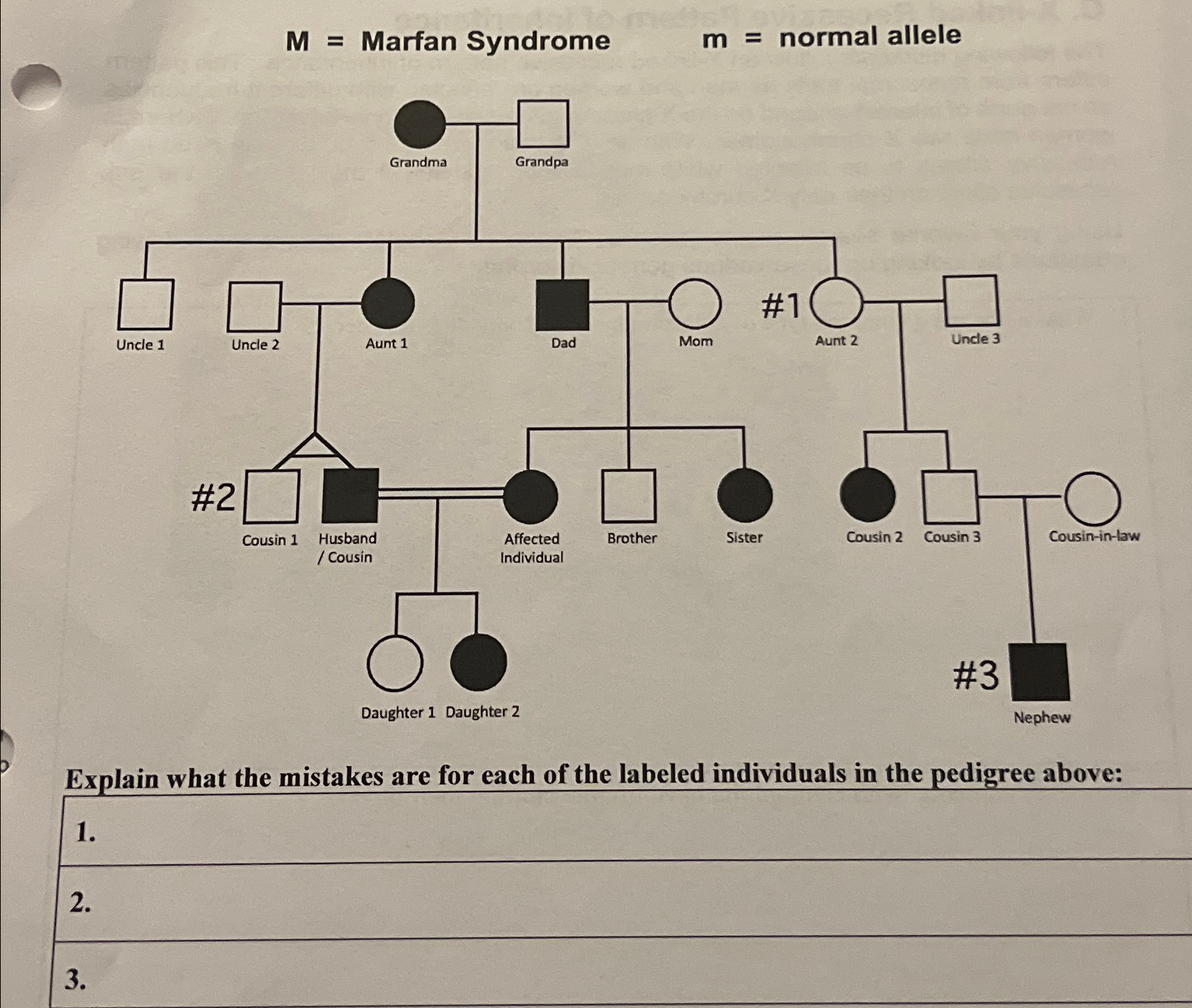 Solved M= ﻿Marfan Syndrome ,m= ﻿normal allele Explain what | Chegg.com