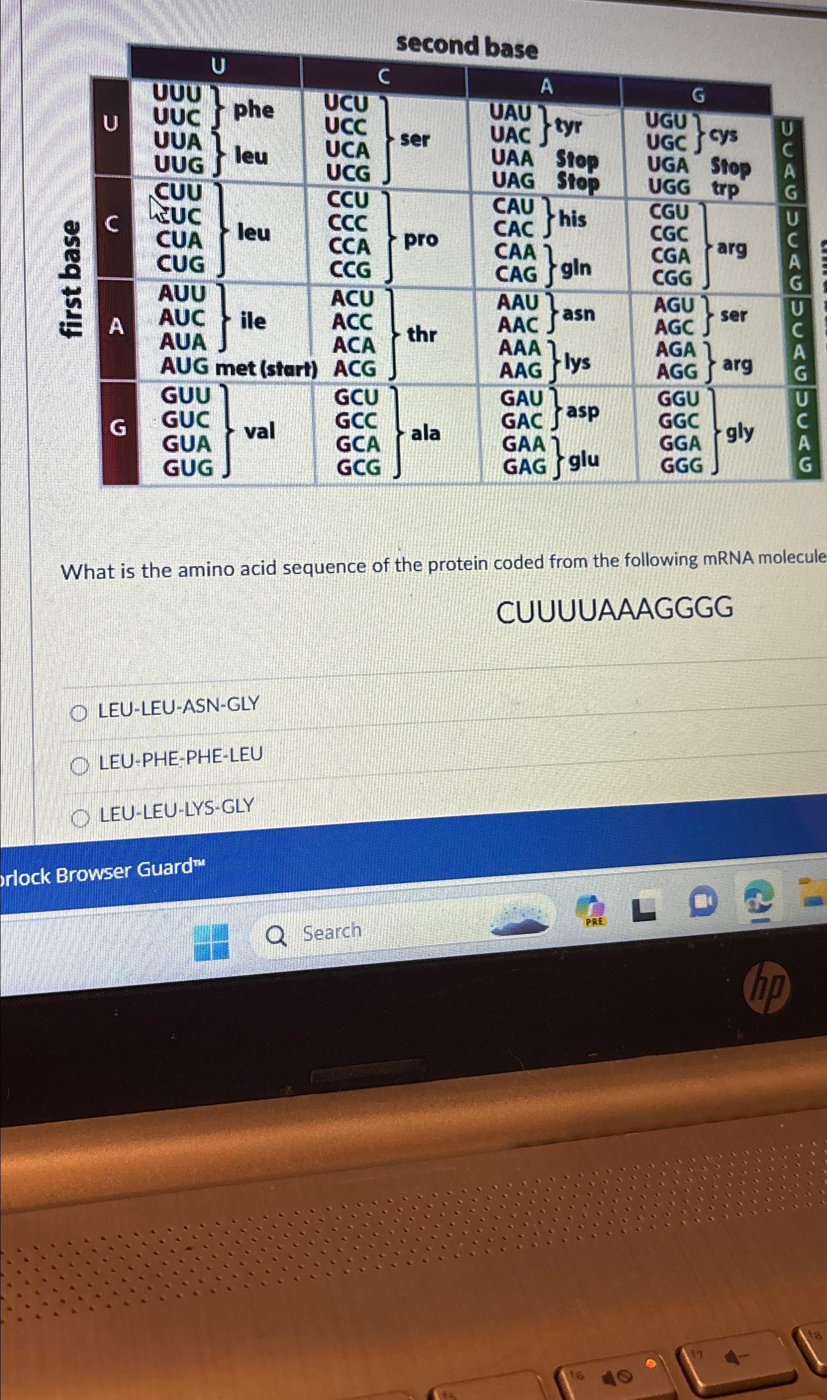 Solved What is the amino acid sequence of the protein coded | Chegg.com