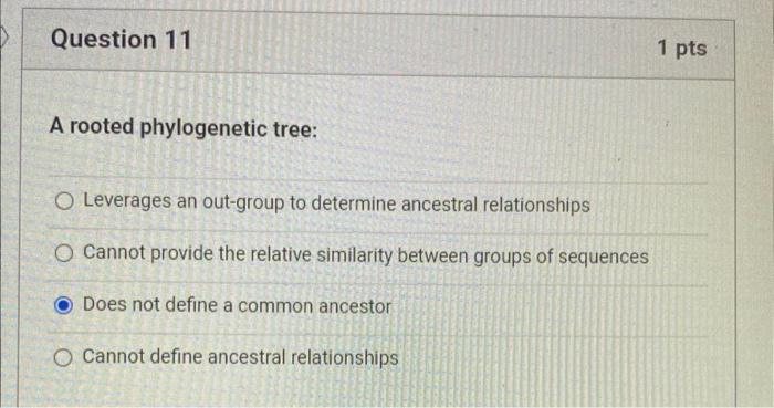 Solved A rooted phylogenetic tree: Leverages an out-group to | Chegg.com