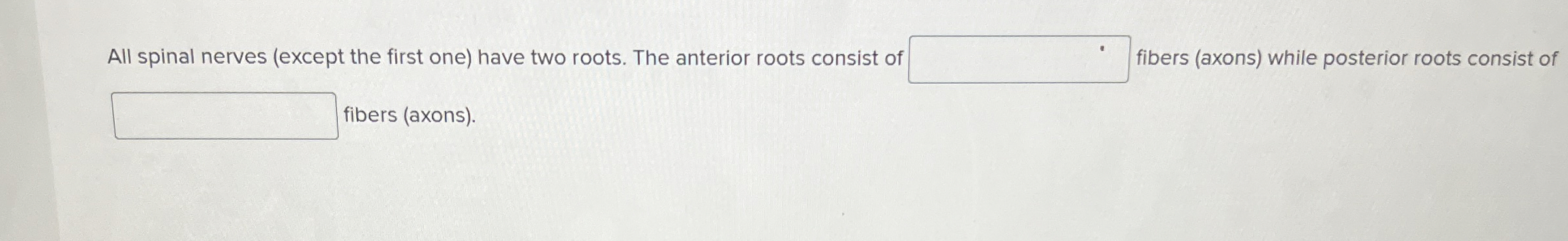 Solved All spinal nerves (except the first one) ﻿have two | Chegg.com