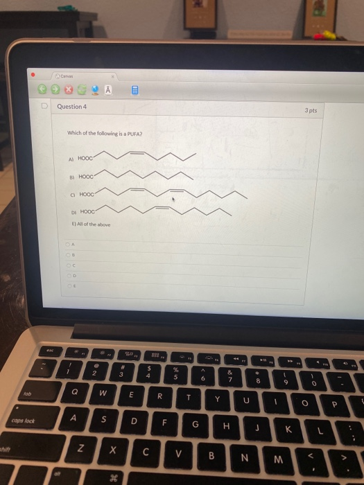 Solved Canvas Question 4 3 pts Which of the following is a | Chegg.com