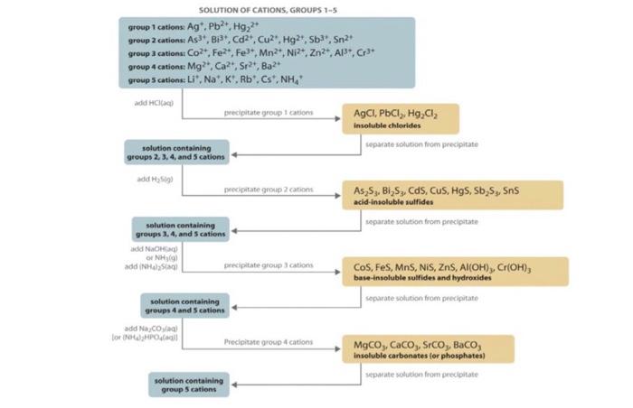 Hi. can you construct a flow chart for the analysis | Chegg.com