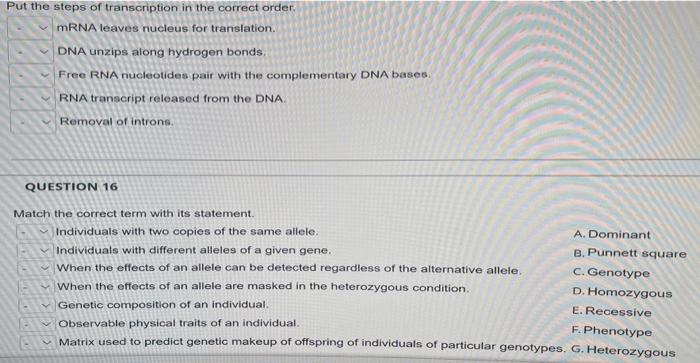 Put the steps of transcription in the correct order.
mRNA leaves nucleus for translation.
DNA unzips along hydrogen bonds.
Fr