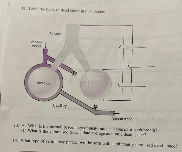 solved-12-label-the-types-of-dead-space-in-this-diagram-chegg
