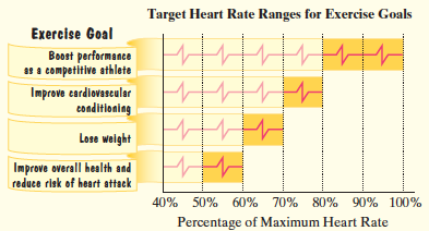 Optimal Heart Rate Chart