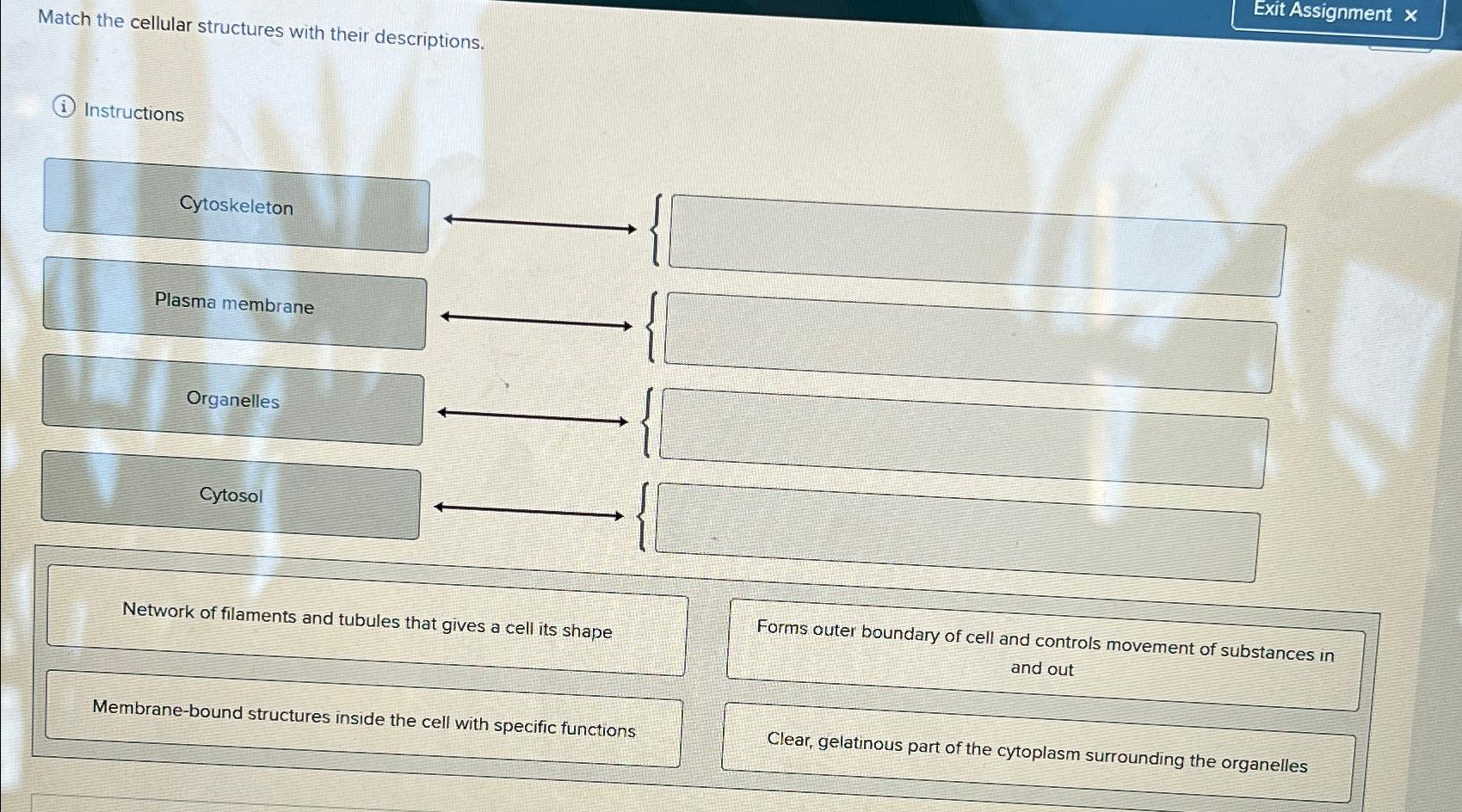 Solved Match the cellular structures with their | Chegg.com