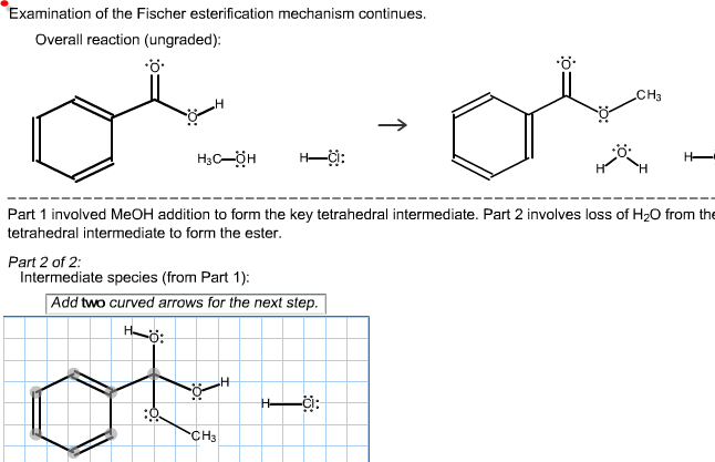 Solved Examination of the Fischer esterification mechanism | Chegg.com