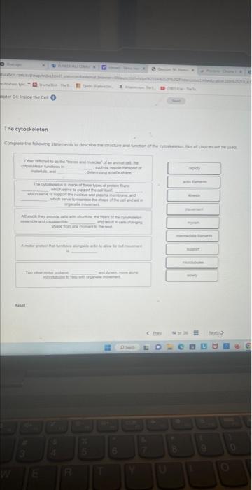 The cytoskeleton | Chegg.com