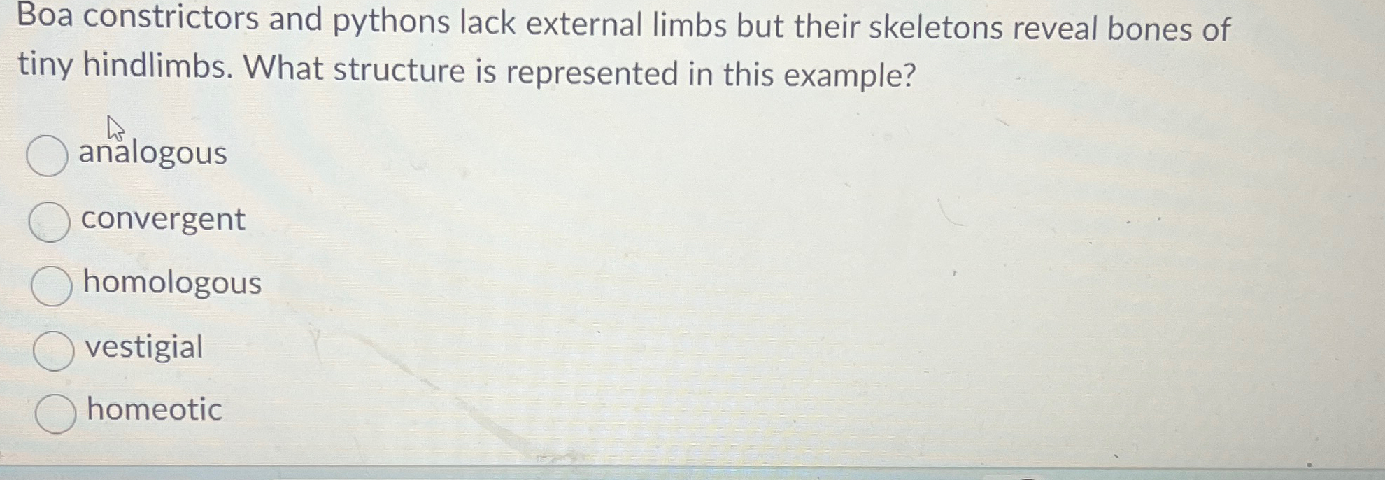 Solved Boa constrictors and pythons lack external limbs but | Chegg.com