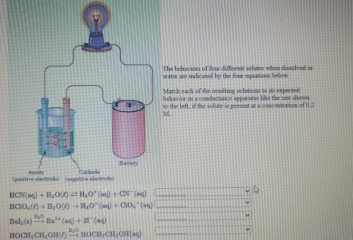 Solved Identify each of the following as a strong | Chegg.com