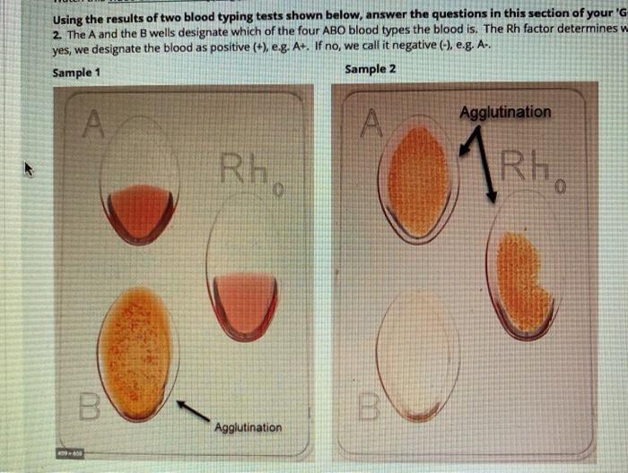 Solved Use the images in the Lab Module to determine the | Chegg.com