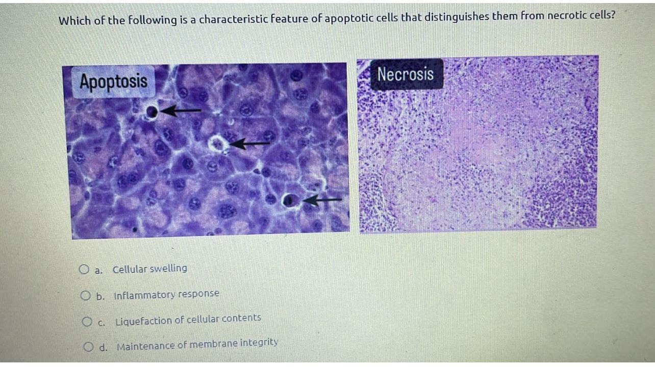 Solved Which of the following is a characteristic feature of | Chegg.com