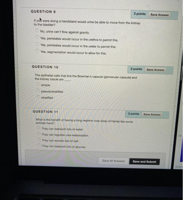 Solved QUESTION 9 2 points Save Answer If you were doing a | Chegg.com