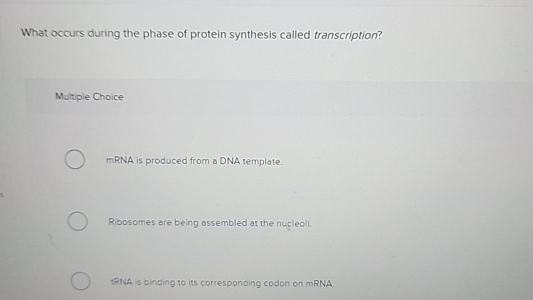 Solved What occurs during the phase of protein synthesis | Chegg.com