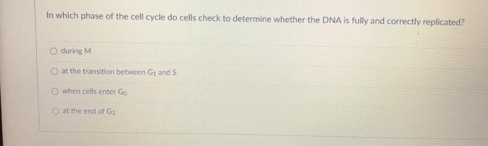 Solved In which phase of the cell cycle do cells check to | Chegg.com