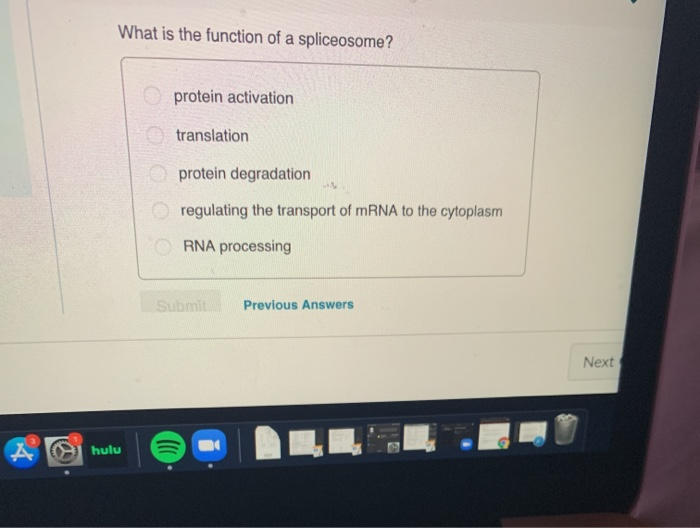 Solved What is the function of a spliceosome? protein | Chegg.com