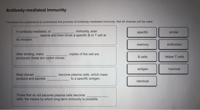 antibody mediated immunity